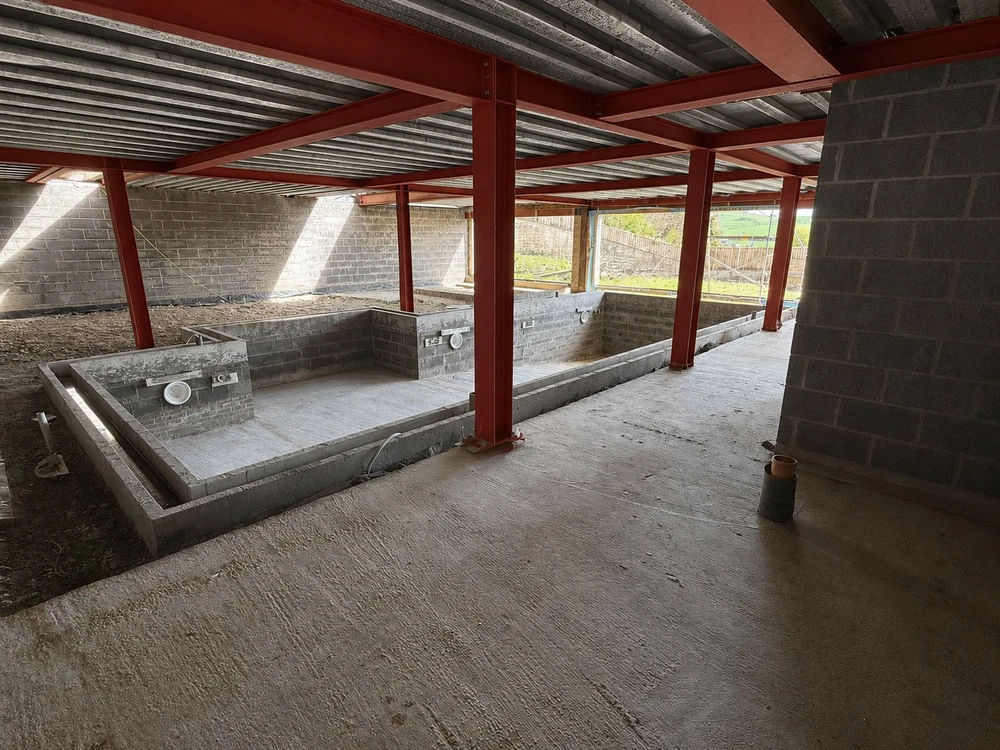 Pool and Spa Area